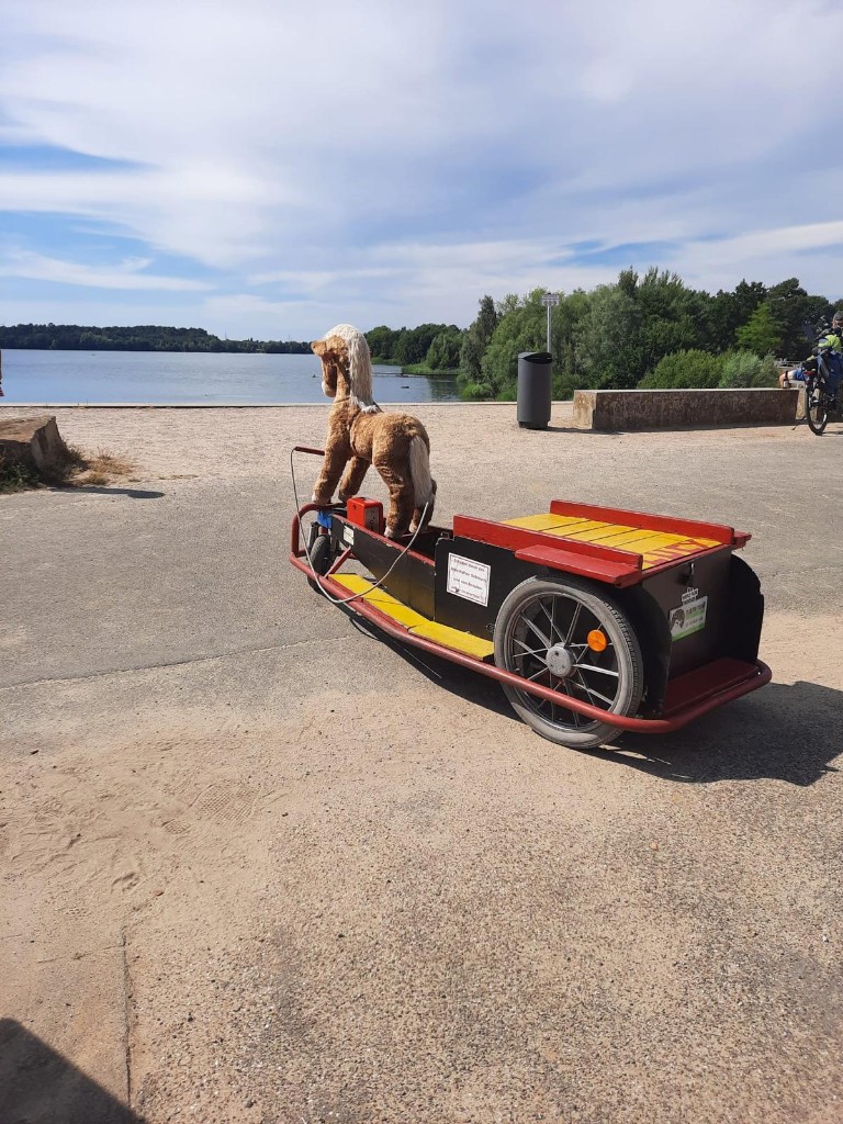 Elektrokutsche am See