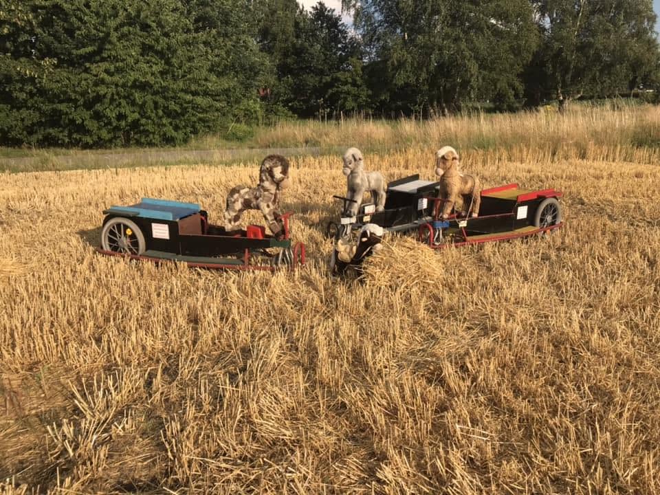 Kutschen auf dem Feld