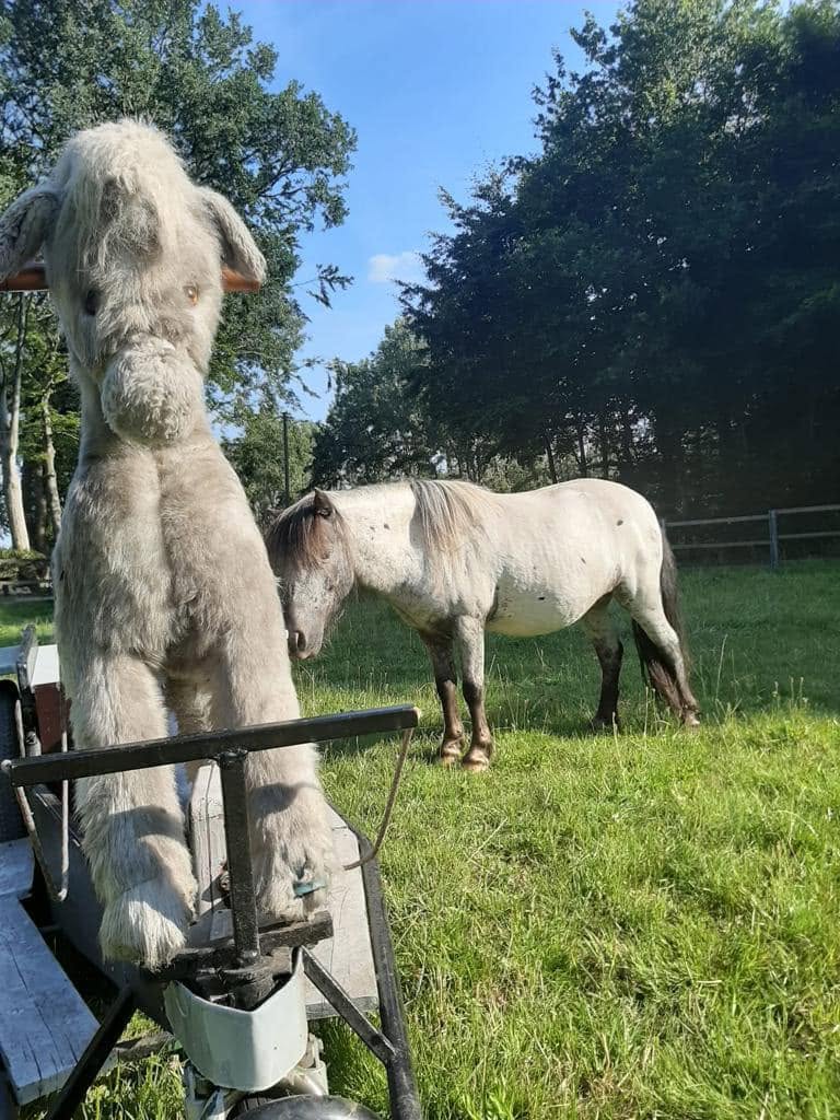 Plüshpferd der Elektrokutsche neben einem echten Pferd auf der Weide